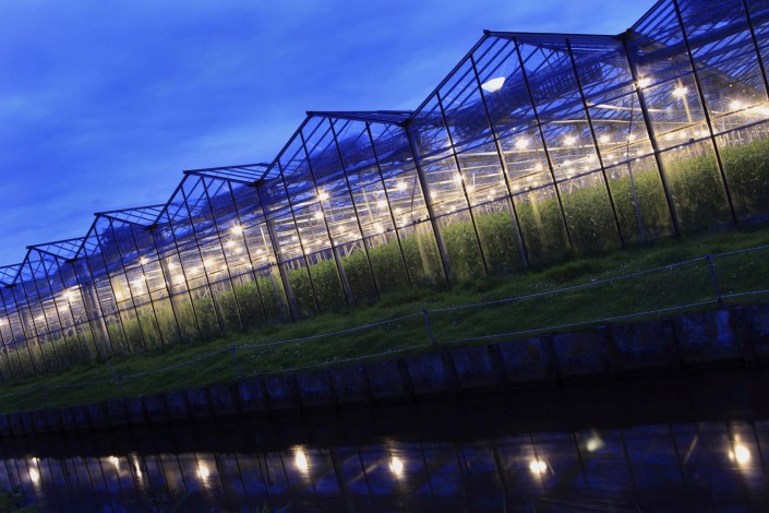 Our Greenhouses at Dusk