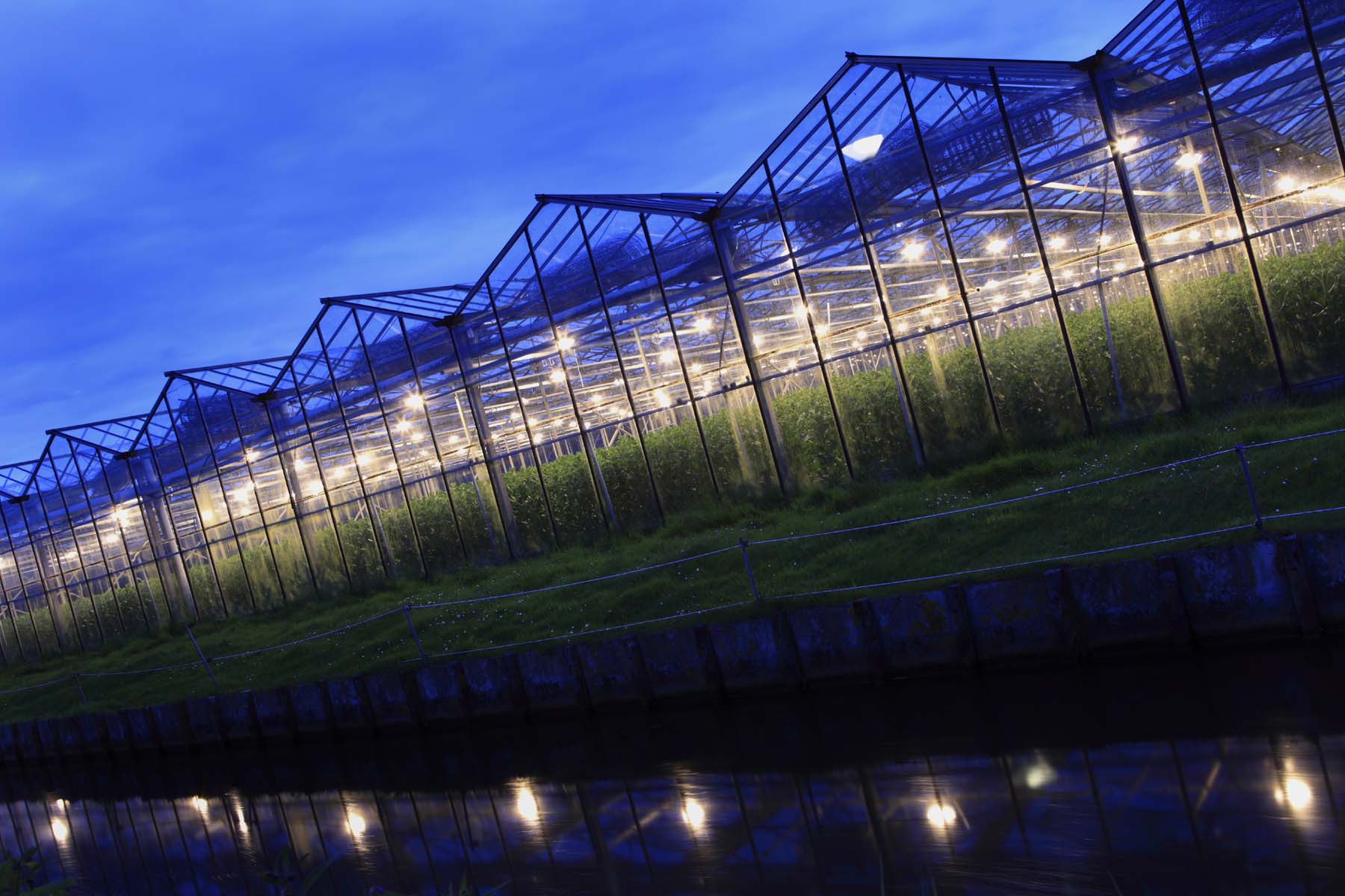 Our Greenhouses at Dusk