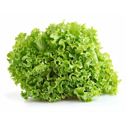 curlylettuce