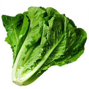 Romaine-1030x974